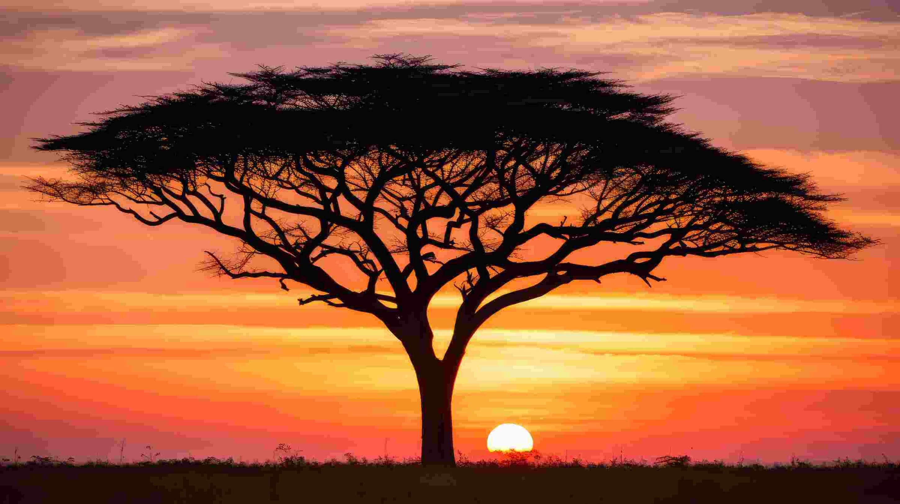 Tanzania