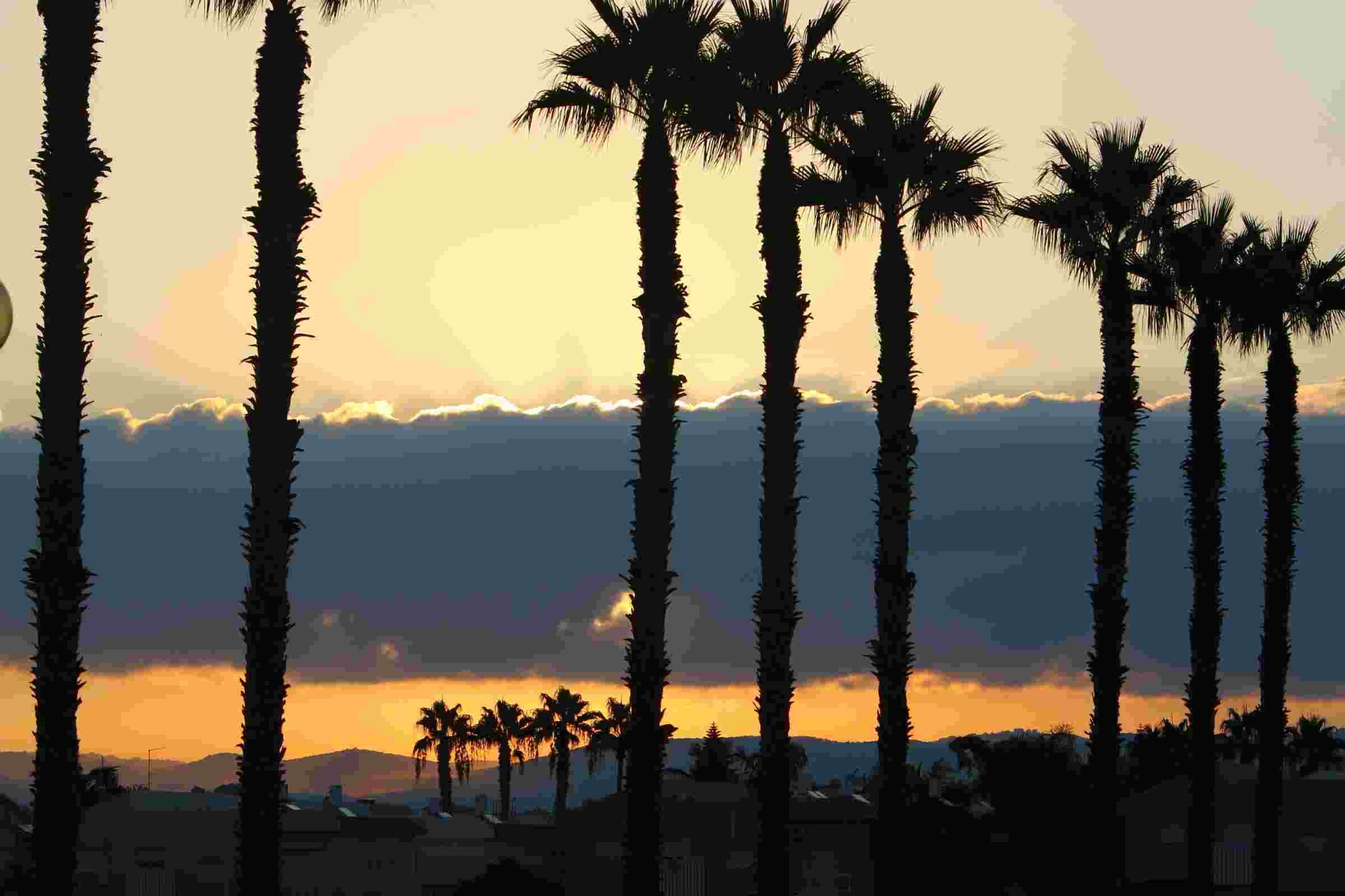 Torrevieja