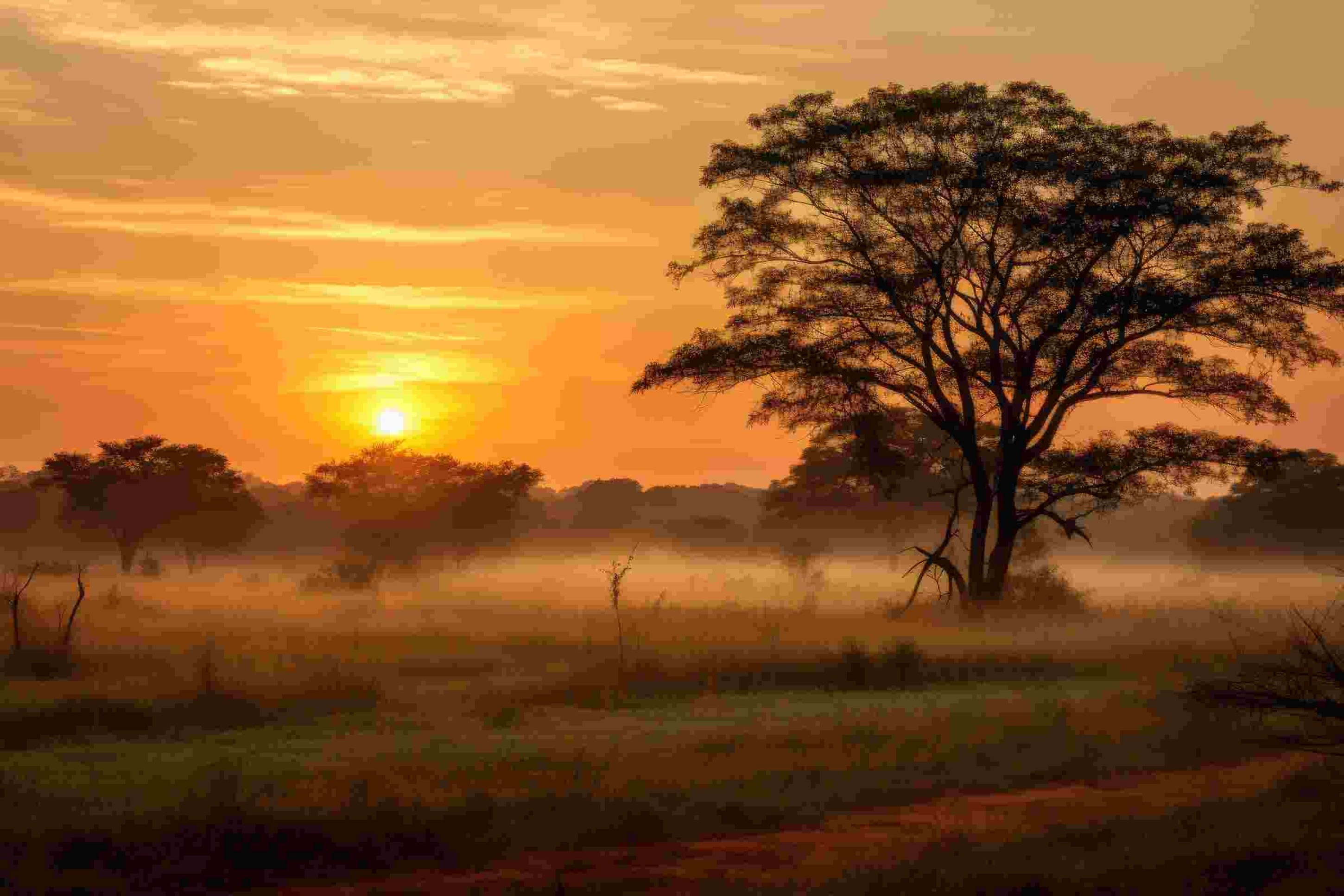 Zambia