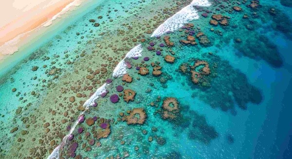 Cairns